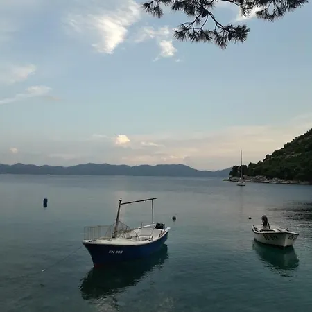 Jadran *