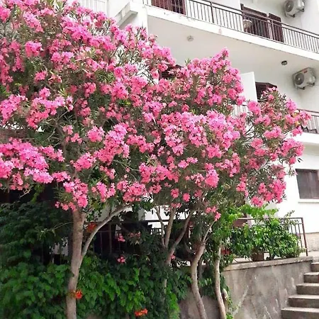 Konukevi Jadran