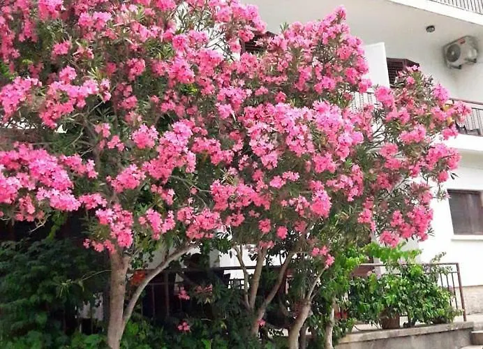 Maison d'hôtes Jadran